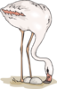 Flamingo With Eggs Clip Art